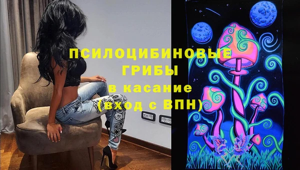 спиды Белокуриха