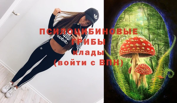 спиды Белокуриха