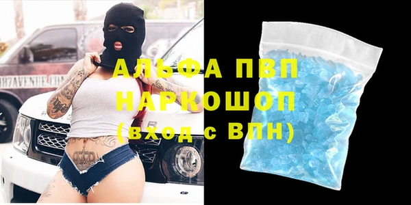 спиды Белокуриха