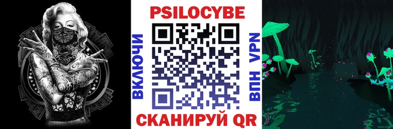 KRAKEN tor  Шумиха  Галлюциногенные грибы прущие грибы 